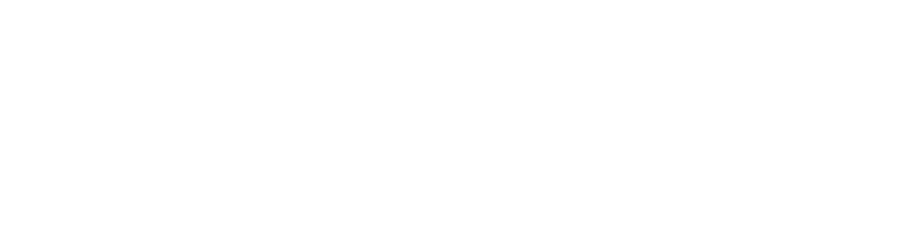 SPPAUTO