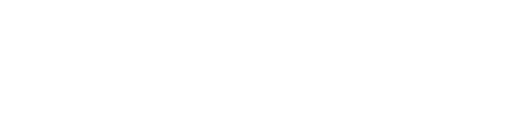SPPAUTO