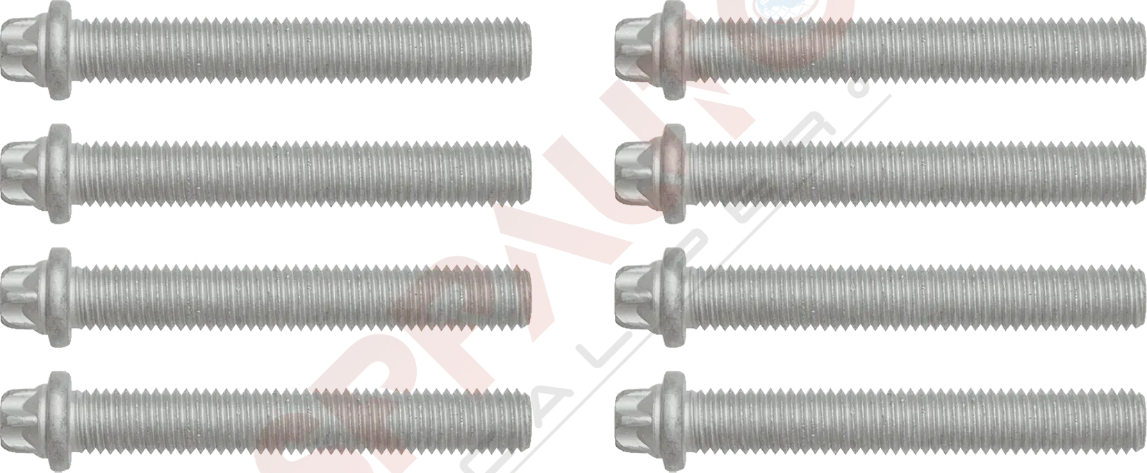 Kaliper Kapak Cıvatası Takımı (M12 × 1,75 × 80 mm)
