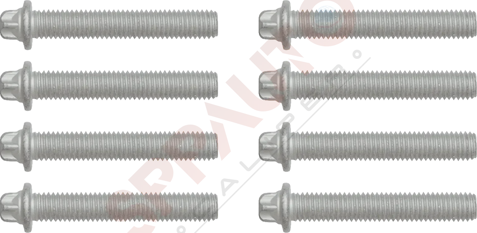 312127 Kaliper Kapak Cıvatası Takımı (M10 × 1,5 × 60 mm)