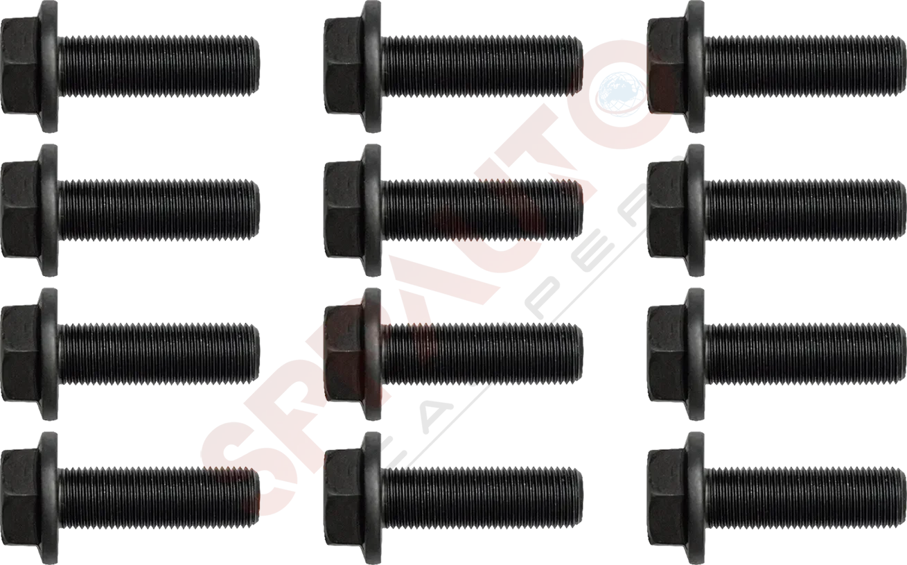 311158 Kaliper Bağlantı Cıvatası Takımı (M16 × 1,5 × 50 mm)