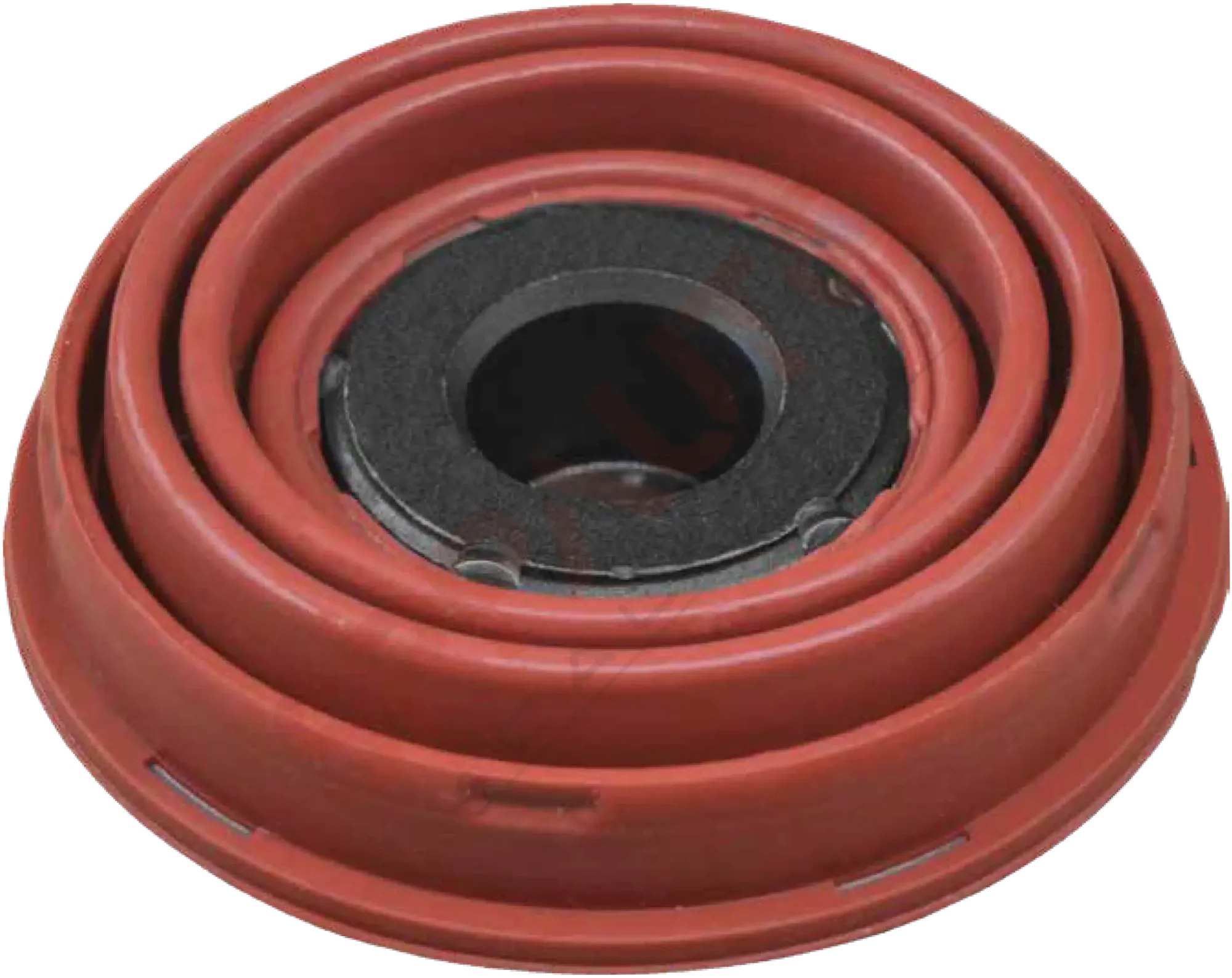 315134 Piston ve Körük Grubu Ø69 mm