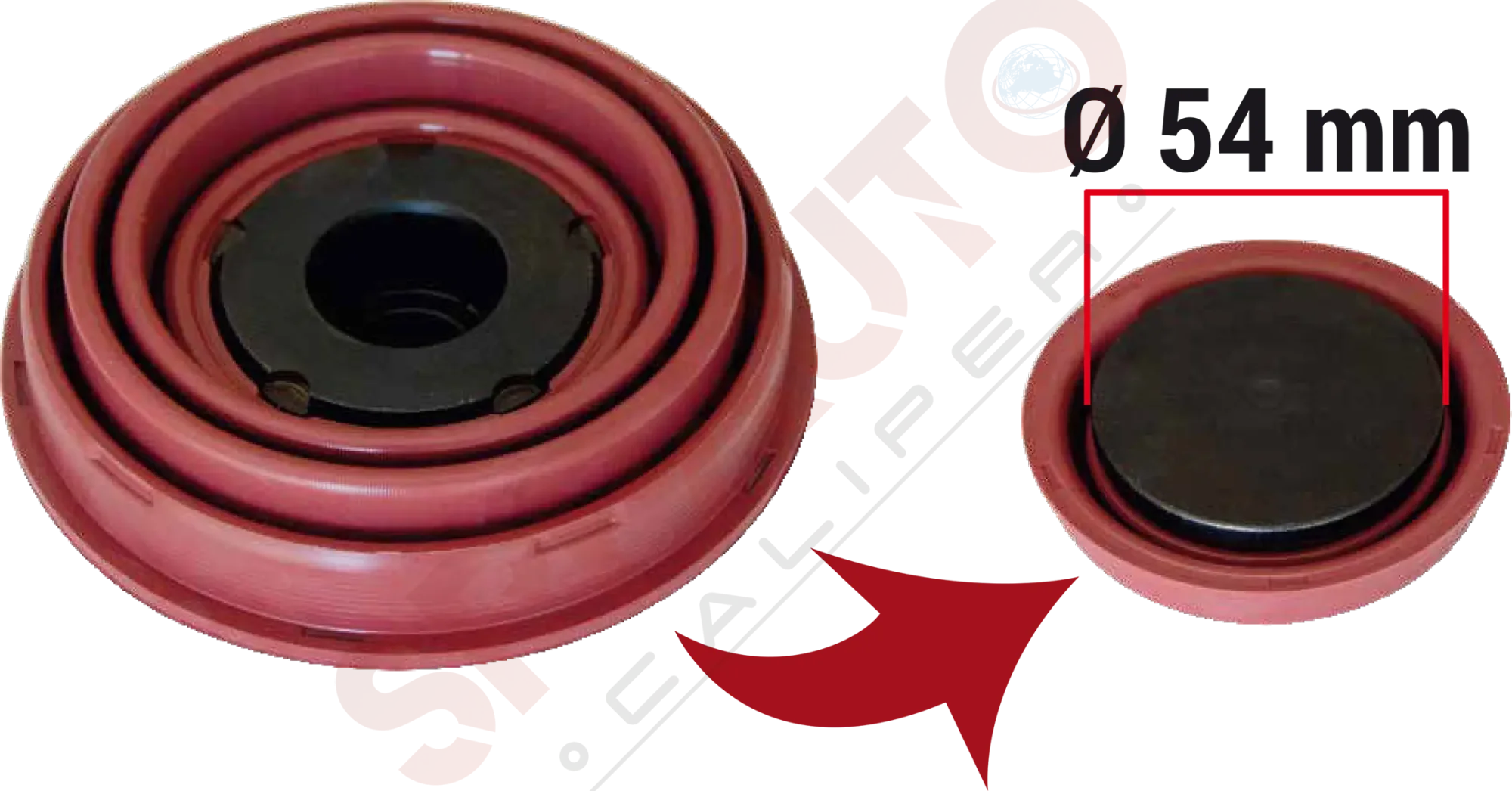Piston ve Körük Grubu (Ø54 mm Piston, Ø69 mm)